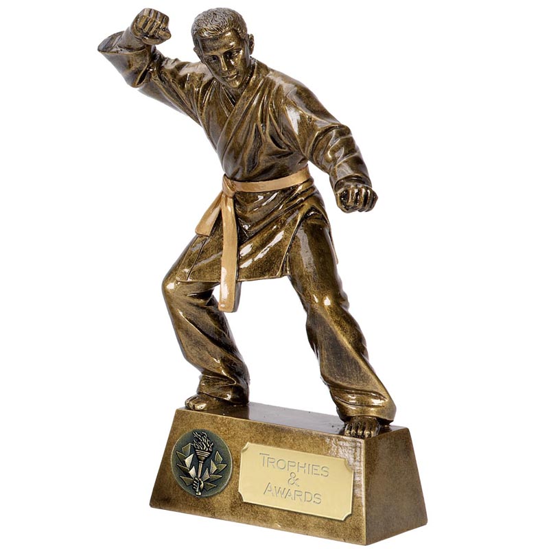Karate Trophies