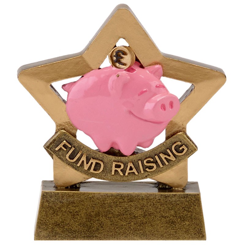 Mini Star Fund Raising