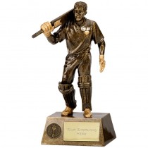 Pinnacle Batsman Cricket