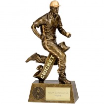 Pinnacle Fielding Cricket