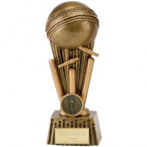 Cricket Focus