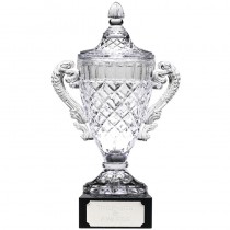 Merit Cup9